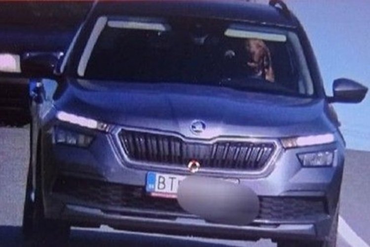 Otomobilin s&uuml;r&uuml;c&uuml; koltuğundaki k&ouml;pek radara yakalandı