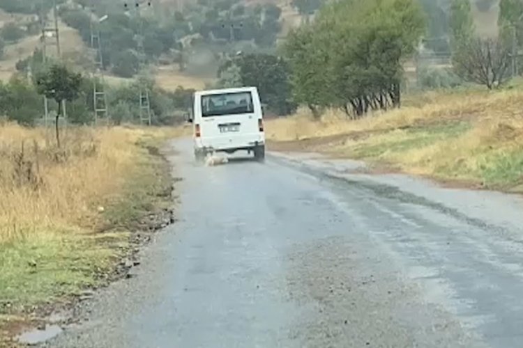Kırıkkale'de korkun&ccedil; g&ouml;r&uuml;nt&uuml;! K&ouml;peği dakikalarca s&uuml;r&uuml;kledi