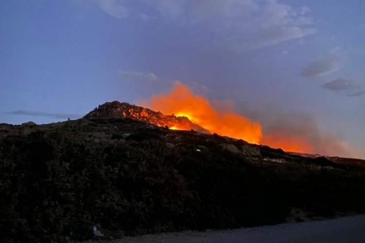Muğla Bodrum'daki yangında 60 d&ouml;n&uuml;ml&uuml;k alan zarar g&ouml;rd&uuml;