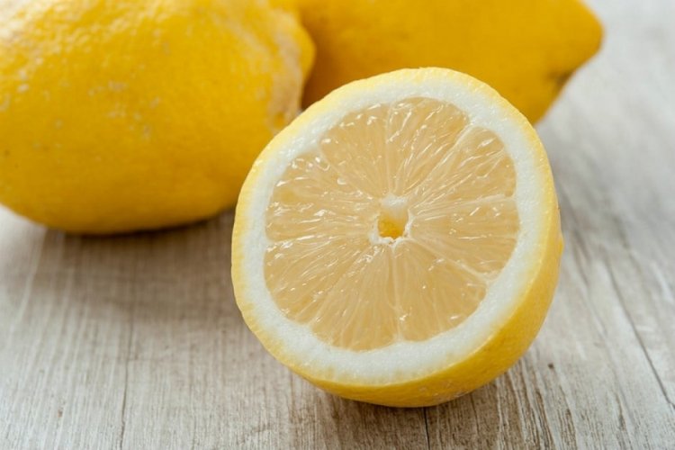 TZOB: Limonda &uuml;retici-market fiyat farkı y&uuml;zde 338,3