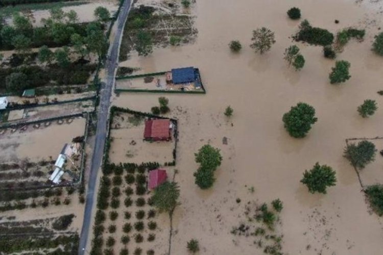 İstanbul Şile'de dere taştı! Tarım arazileri ve bungalovlar su altında kaldı