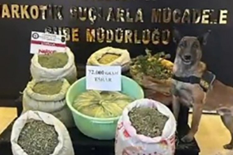 Hakkari'de uyuşturucu operasyonu: 73 kilo esrar, 90 k&ouml;k kenevir ele ge&ccedil;irildi
