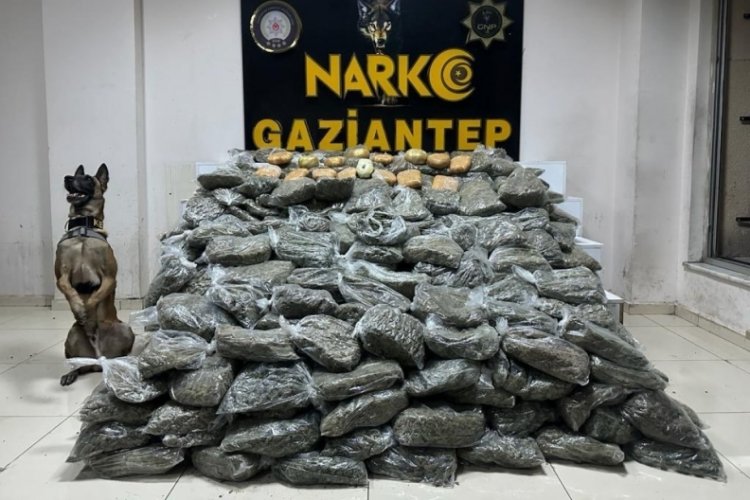 Gaziantep'te 170 kilogram skunk ele ge&ccedil;irildi