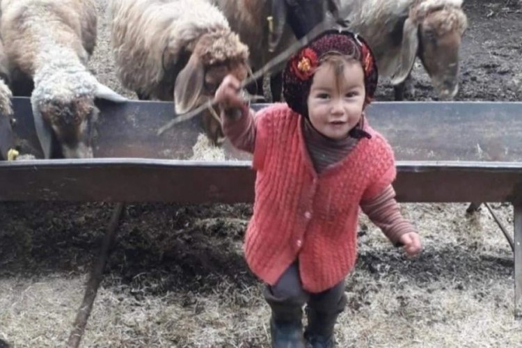 M&uuml;sl&uuml;me Yağal'ın &ouml;l&uuml;m&uuml;ne ilişkin davada gelişme! M&uuml;talaa a&ccedil;ıklandı