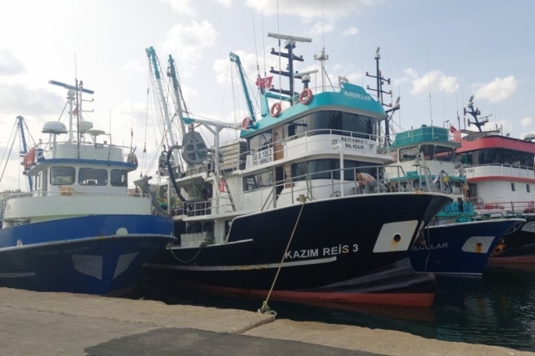 Hamsi bolluğu tayfaları Marmara'ya akın ettirdi