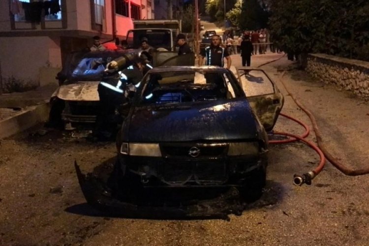 Bilecik'te 2 otomobil yandı