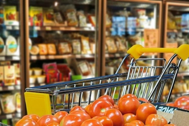 T&Uuml;RİB, 2023 yılı &uuml;&ccedil;&uuml;nc&uuml; &uuml;&ccedil; ayına ait EL&Uuml;S Piyasası istatistiklerini a&ccedil;ıkladı