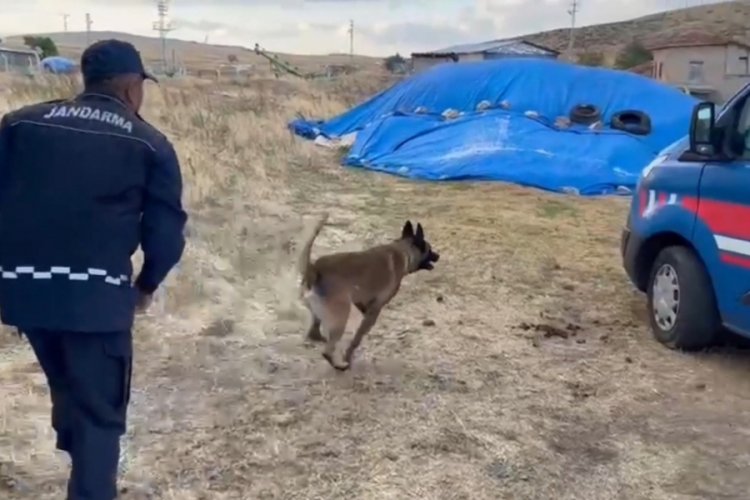 Saman yığınından uyuşturucu &ccedil;ıktı: Narkotik k&ouml;peği b&ouml;yle buldu