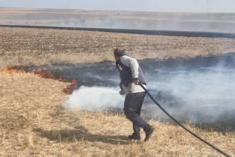 Edirne'de anız yangınında 500 d&ouml;n&uuml;m tarım arazisi ve 3 ahır zarar g&ouml;rd&uuml;