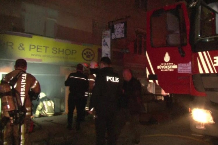 İstanbul'da petshop'ta yangın &ccedil;ıktı! &Ccedil;ok sayıda kuşu telef oldu