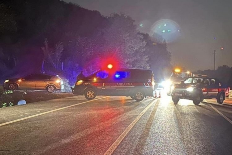 D&uuml;zce'de at s&uuml;r&uuml;s&uuml;ne &ccedil;arpan otomobil zincirleme kazaya sebep oldu