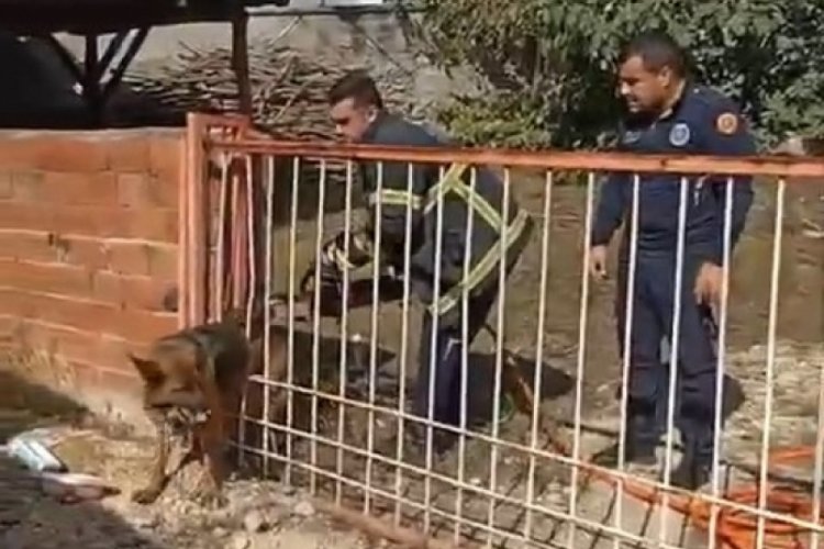 Bursa'da demir kapıya sıkışan k&ouml;peği itfaiye kurtardı