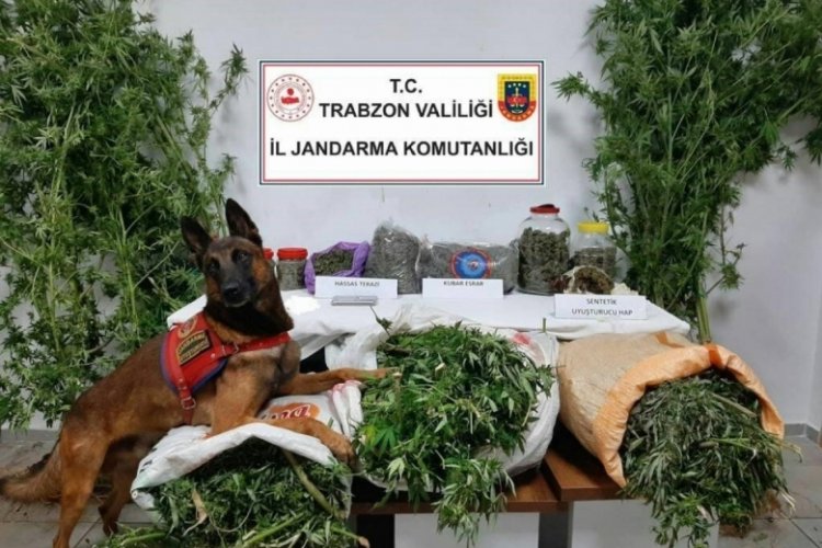 Trabzon'da 41 kilogram uyuşturucu madde ele ge&ccedil;irildi, 5 ş&uuml;pheli g&ouml;zaltına alındı