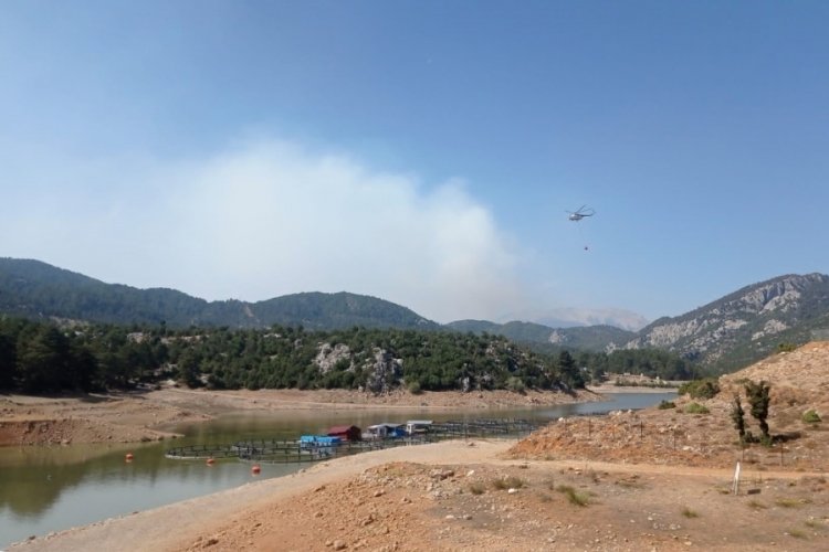 Burdur'da  kontrol altına alınan yangın tekrar başladı!