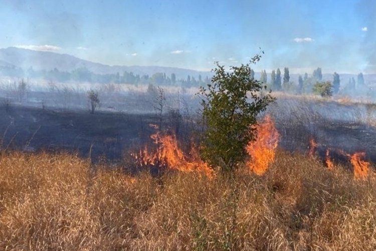 Erzincan'da iki k&ouml;yde &ccedil;ıkan arazi yangını s&ouml;nd&uuml;r&uuml;ld&uuml;
