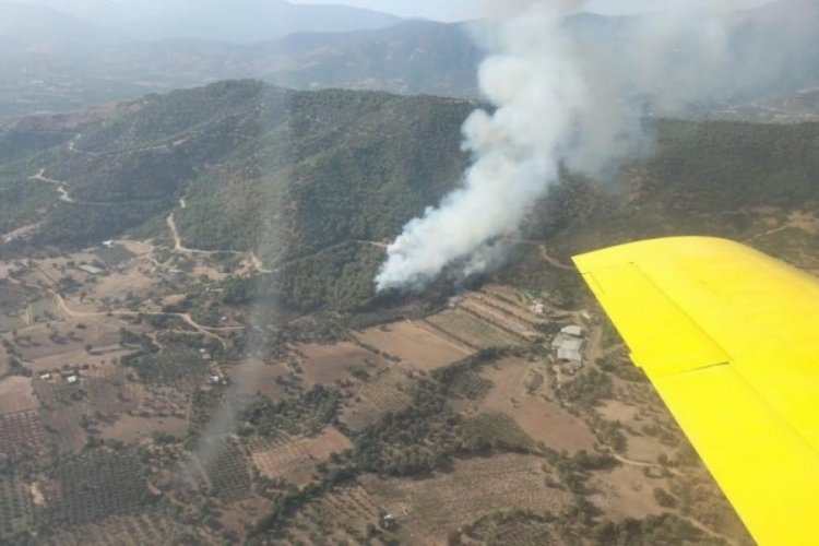 İzmir'de ormanlık alandaki yangın kontrol altında