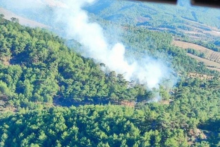 &Ccedil;anakkale'de orman yangını! M&uuml;dahale s&uuml;r&uuml;yor