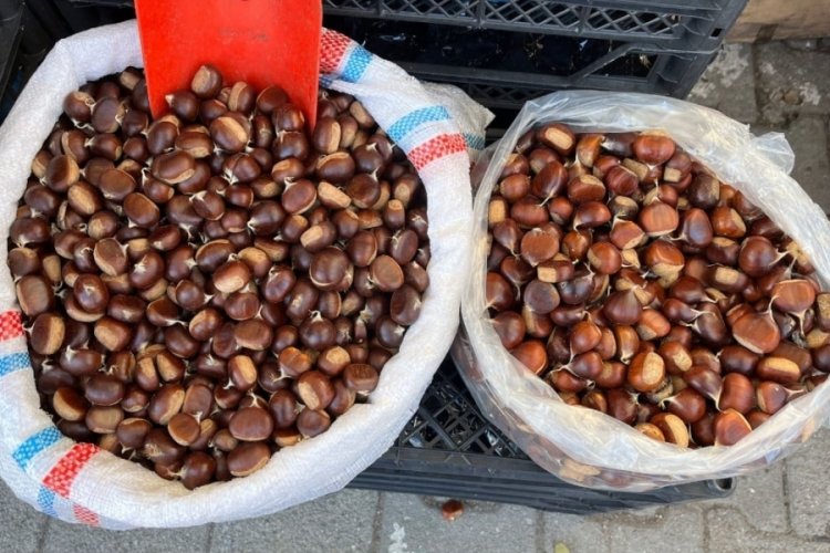 Sinop kestanesi tezgahta yerini aldı! Kilosu 250 lira