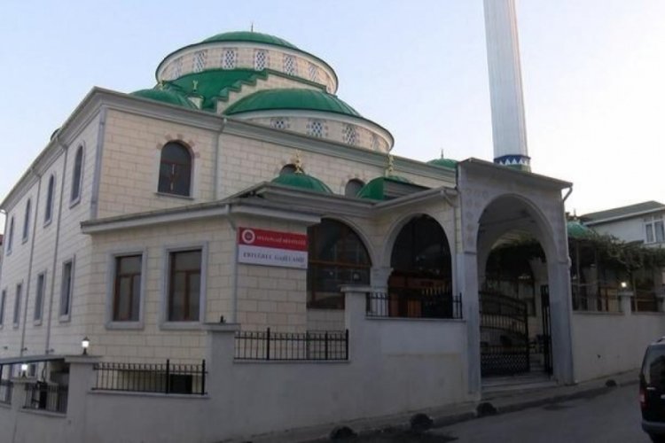 İstanbul'da &ccedil;alındığı &ouml;ne s&uuml;r&uuml;len yavru kediler i&ccedil;in camiden anons yapıldı!