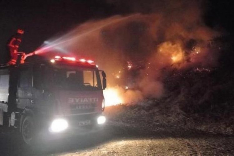 Edirne'de ağa&ccedil;lık alanda yangın &ccedil;ıktı! Kısa s&uuml;rede s&ouml;nd&uuml;r&uuml;ld&uuml;