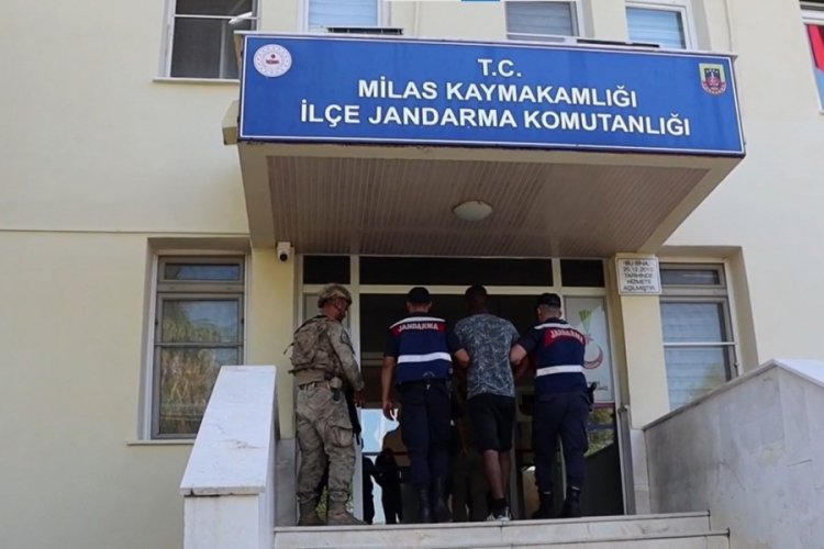 Muğla'da zehir tacirlerine operasyon, 20 tutuklama