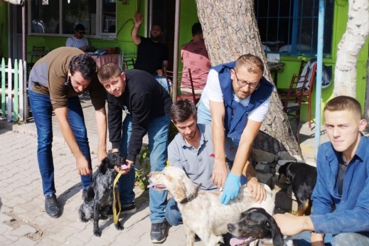 Bursa'da 100 av k&ouml;peği &ccedil;iplendi