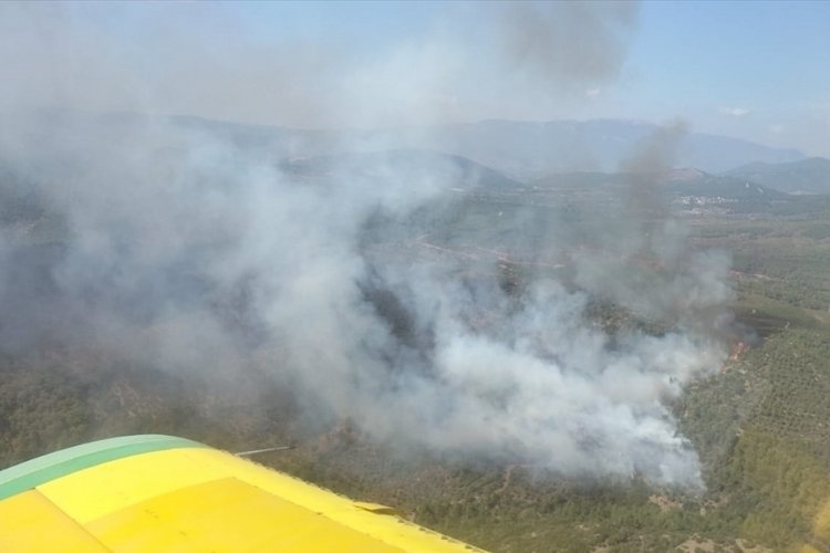İzmir'de orman yangını