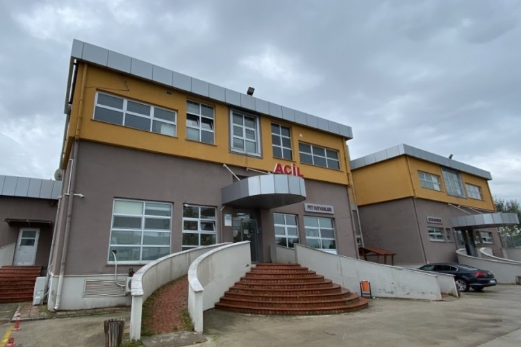 2 veteriner hekim ve 3 stajyer &ouml;ğrenciye saldırı!
