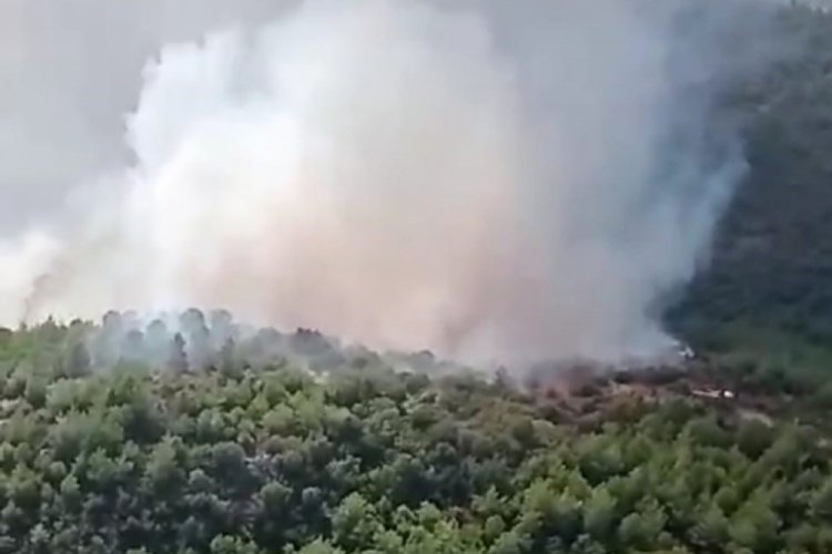 İzmir'deki orman yangını kontrol altına alındı!