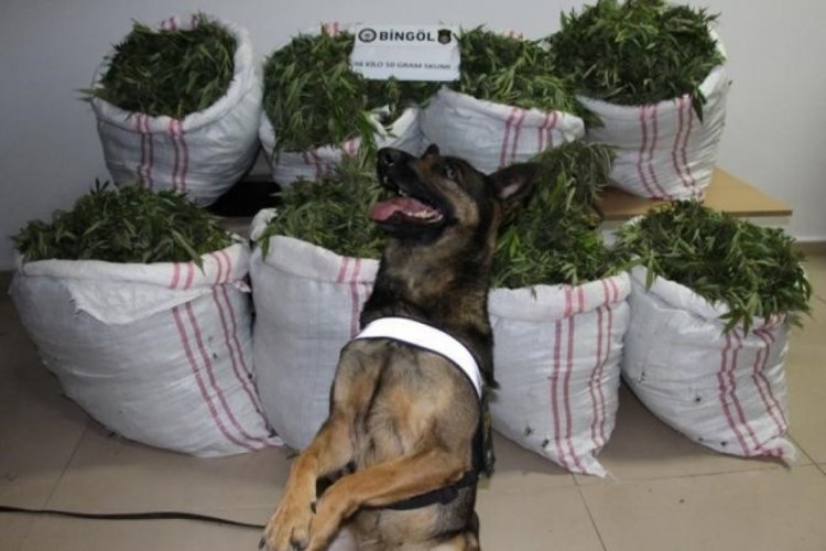 Bing&ouml;l'de bir haftada 112 kilo uyuşturucu ele ge&ccedil;irildi