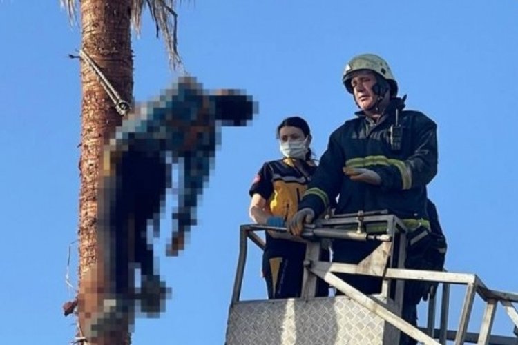 Adana'da bir kişi budamak i&ccedil;in &ccedil;ıktığı palmiyede &ouml;ld&uuml;