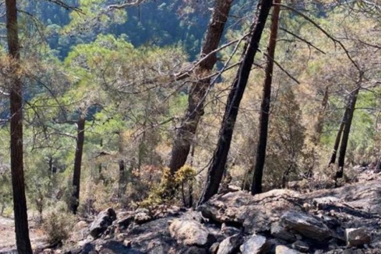 Burdur'da 5 g&uuml;nd&uuml;r s&uuml;ren yangın kontrol altına alındı