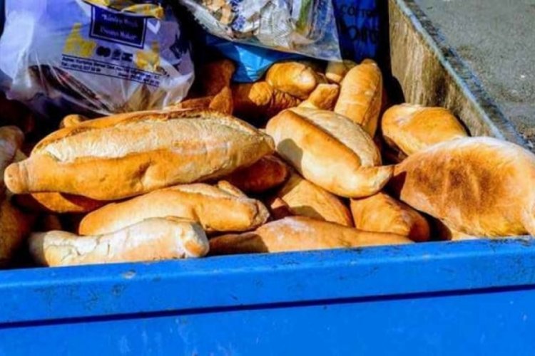 T&uuml;rkiye'de 1 yılda &ccedil;&ouml;pe giden ekmek 500 okul değerinde!