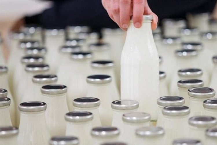 S&uuml;t &uuml;retimi ağustosta y&uuml;zde 8 azaldı