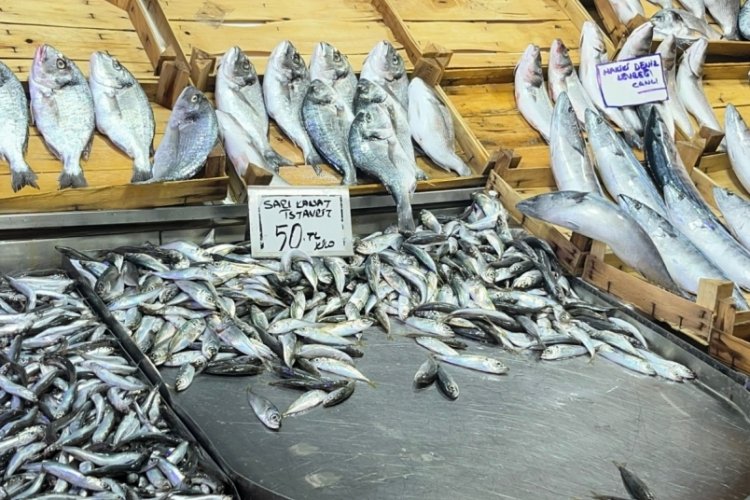 Bursa'da hamsinin fiyatı d&uuml;şt&uuml;!&nbsp;