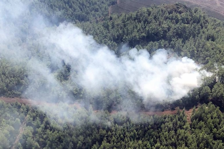 Muğla'da orman yangını