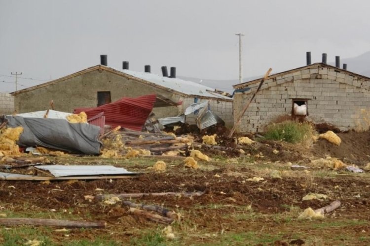 Van'da hortum nedeniyle 4 ahırdaki 22 b&uuml;y&uuml;kbaş hayvan telef oldu