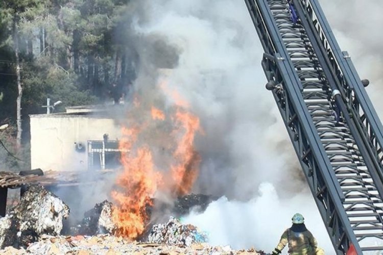 İstanbul'da depoda yangın! Ormana sı&ccedil;ramadan s&ouml;nd&uuml;r&uuml;ld&uuml;