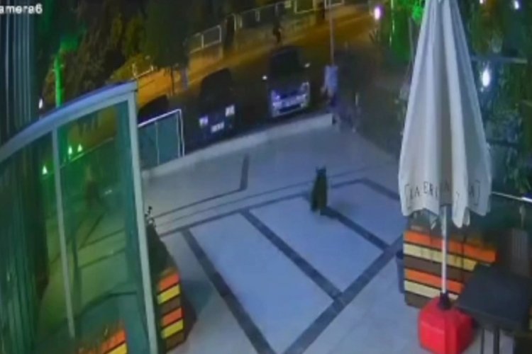 Karab&uuml;k'te şehir merkezine inen ayılar panik yarattı