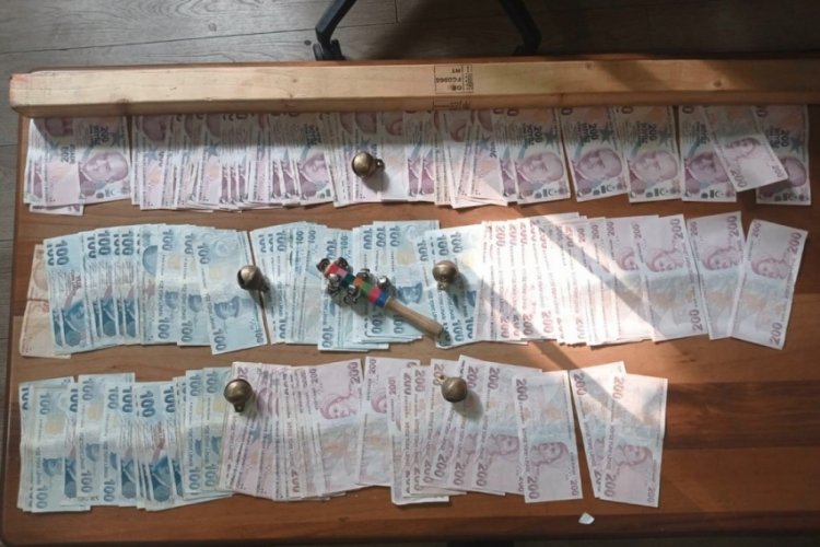 İstanbul'da k&ouml;pek d&ouml;v&uuml;ş&uuml; operasyonu: 24 kişiye ceza kesildi