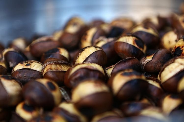 Kışın habercisi kestanenin fiyatı c&uuml;zdan yaktı