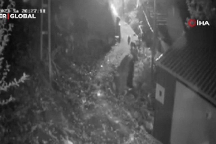 Kastamonu'da yiyecek arayan ayıları k&ouml;yl&uuml;ler torpil atarak ka&ccedil;ırdı