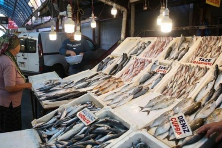 Balık fiyatları en alt seviyeye d&uuml;şt&uuml;
