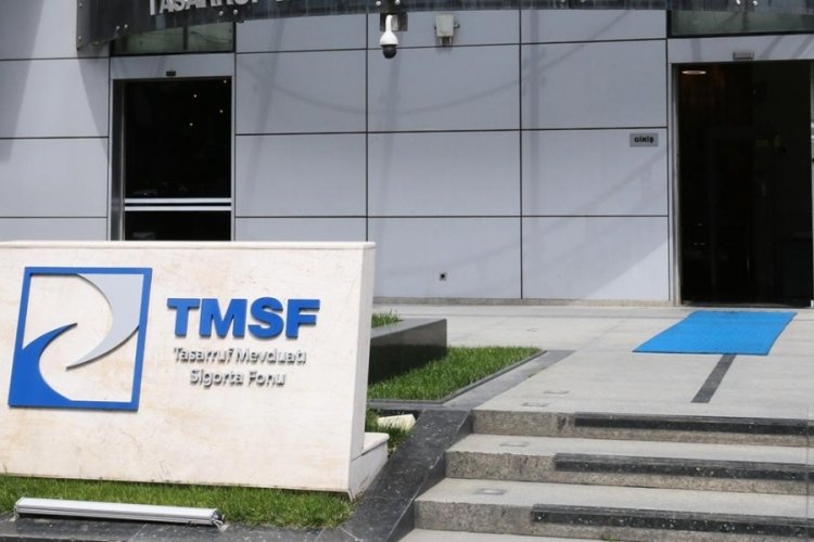 TMSF, 2 şirketi satışa &ccedil;ıkardı