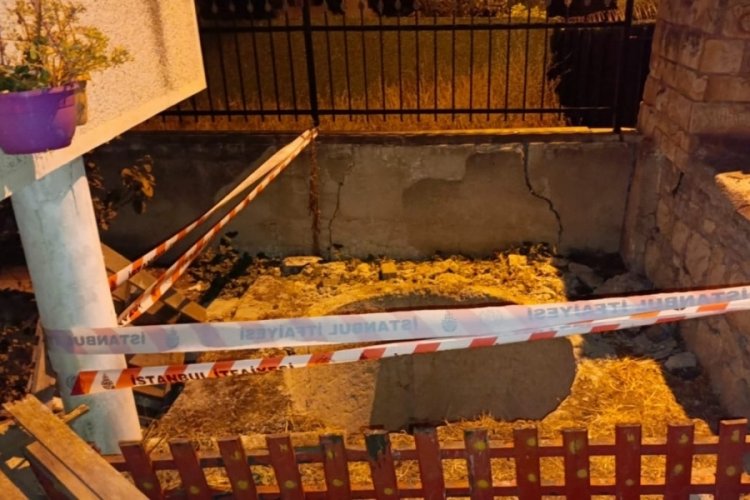 İstanbul'da kedilere mama verirken kuyuya d&uuml;ş&uuml;p &ouml;ld&uuml;
