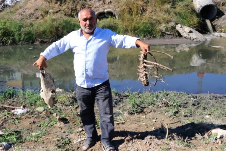 Adana'da hastalık sa&ccedil;an derede &ccedil;ocukların tehlikeli kurbağa avı pes dedirtti