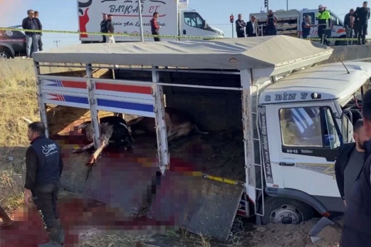 Aksaray'da ışık ihlali yapan kamyonet, minib&uuml;se &ccedil;arptı! 2 &ouml;l&uuml;, 19 yaralı