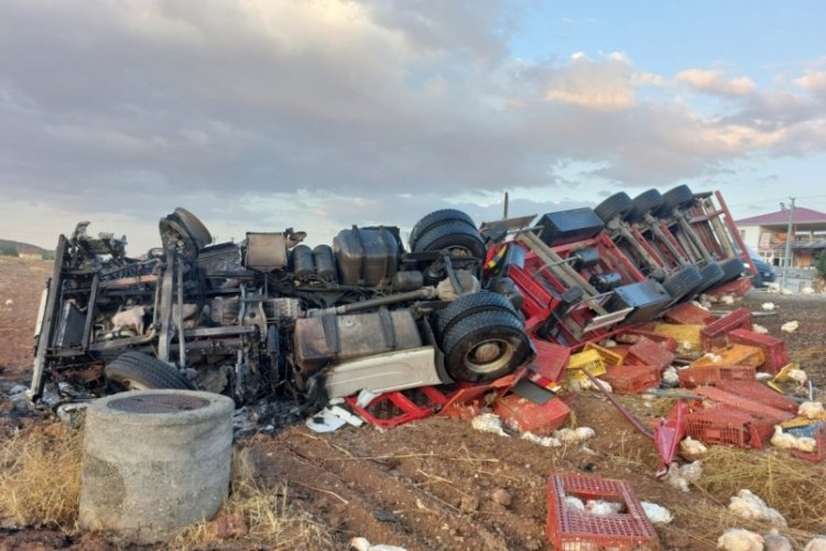 Adıyaman'da şarampole yuvarlanan tır yandı! Binlerce tavuk telef oldu