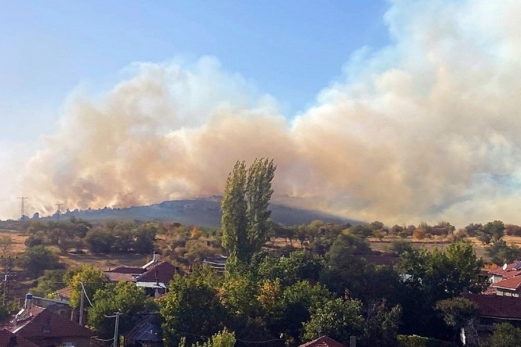 Eskişehir'de ormana sı&ccedil;rayan yangın kontrol altına alındı
