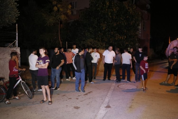 Anne ayı ve yavrusu Safranbolu'yu mesken tuttu